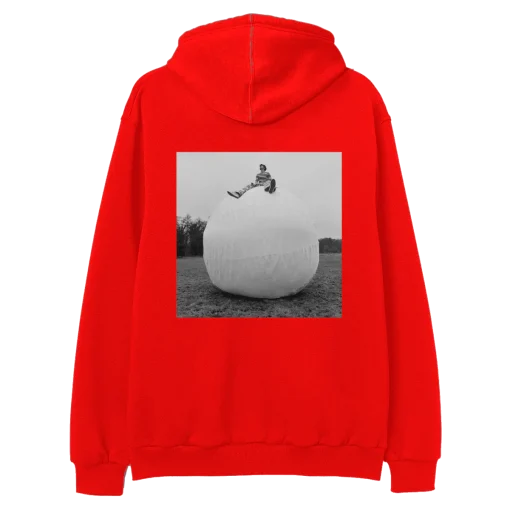 Harry Styles On Top Of The World Hoodie
